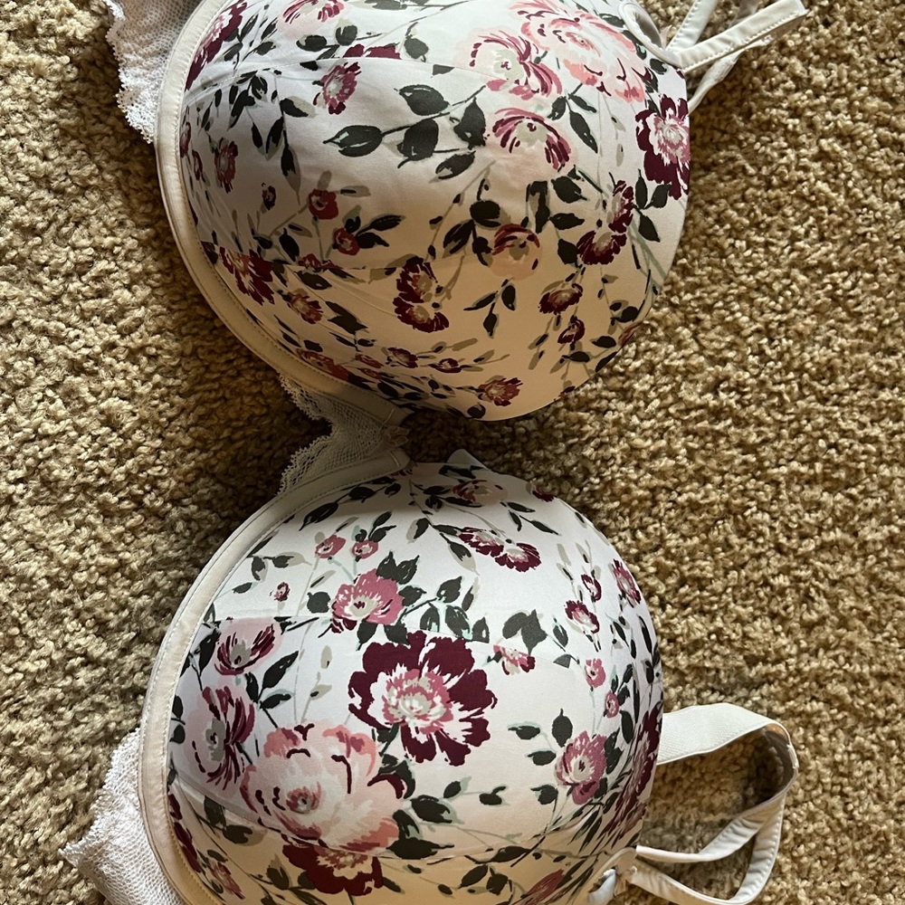 Torrid bra 42ddd
